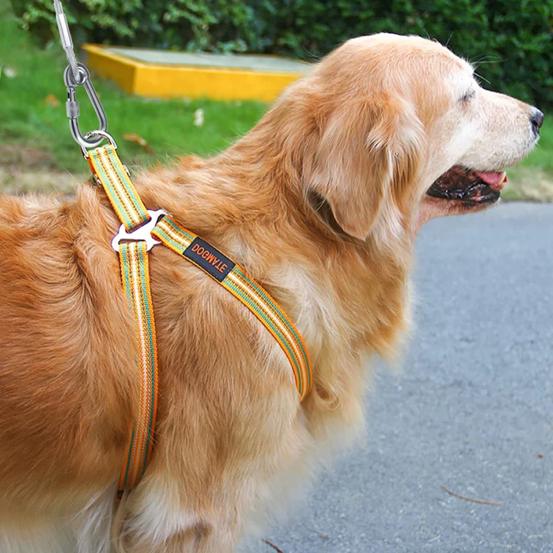 Anti-rust Double-headed Dog Tie Out Cable Leash 2