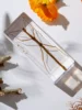 1PC Real Insect Bug Specimen Taxidermia Clear Large Bug Epoxy Resin Stick Insect Insect Scorpion Specimen Craft Decoration 1
