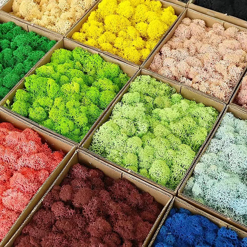 

1Pc Colorful Natural Artificial Moss Plant DIY Dried Reindeer Moss Decor Resin Epoxy Filling Jewelry Garden Decorate Supplies