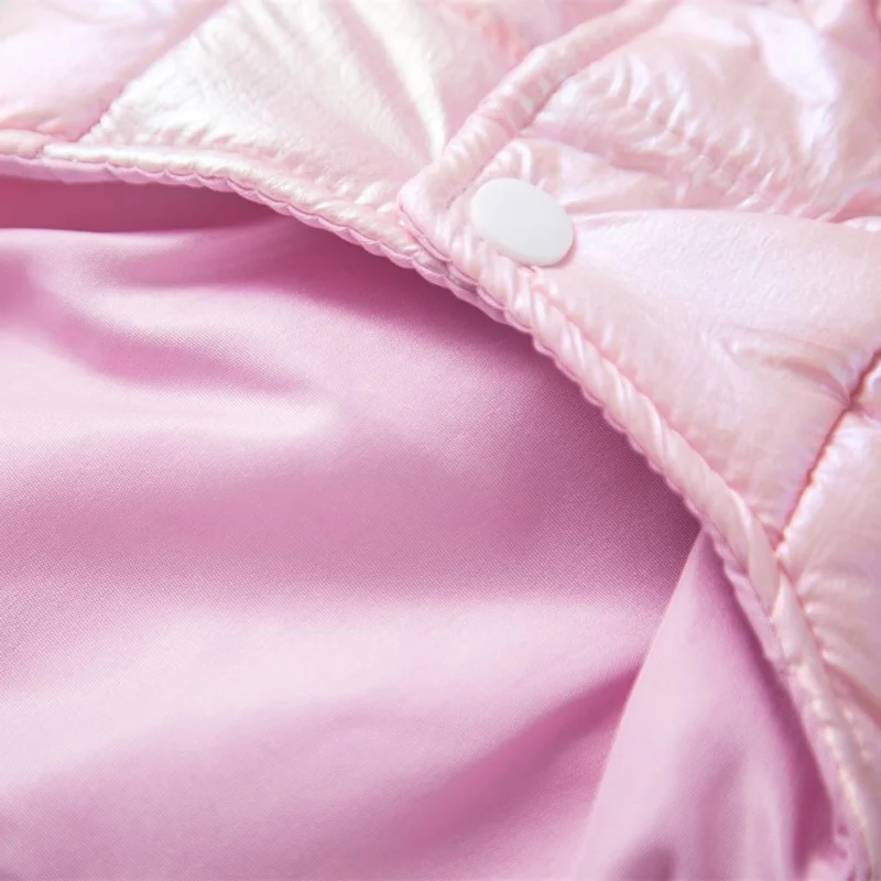 Pet Clothes For Small Dogs Waterproof Pet Jacket Winter Warm Dog Coat Vest Puppy Clothing For Chihuahua French Bulldog Outfits
