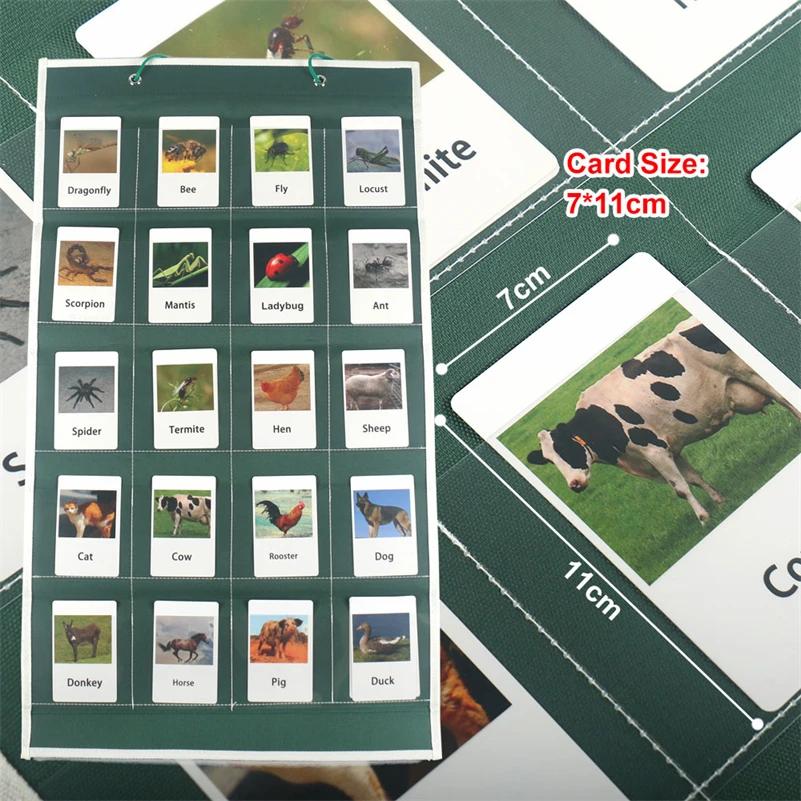 

Montessori Language Material Flash Cards Pocket Chart Learning Education Toy Teacher Classroom Supplies Teaching Aids F44Y