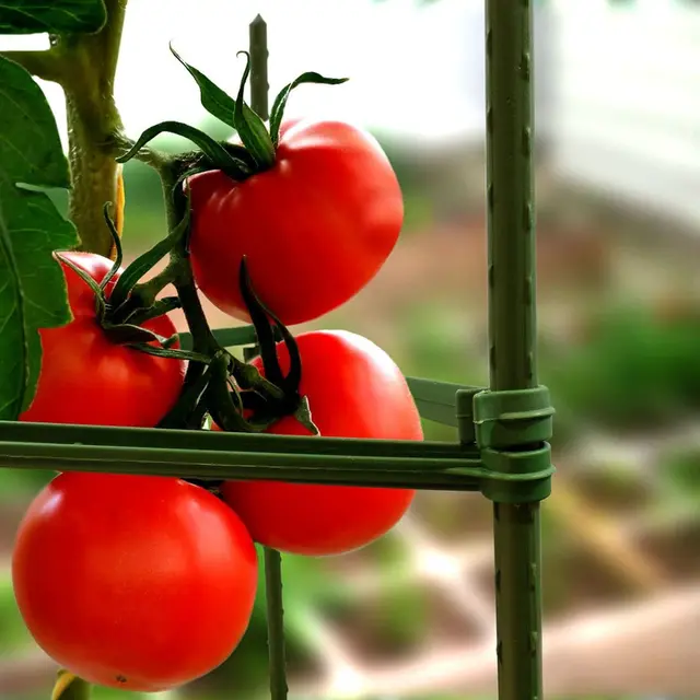 25 Csomag Kerti Tét Fém Műanyag Bevonatú Növényi Ketrec Támaszkodik A Paradicsomok Mászásához Fák Uborka Kerítések 40 Cm - Image 4
