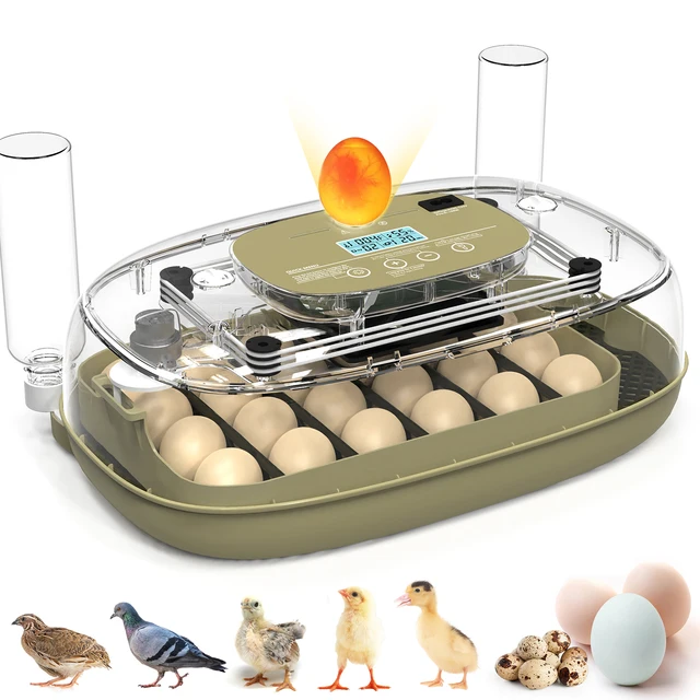24 Egg Incubator with Automatic Turning, Temperature and Humidity Control, LED Egg Candler, and Auto Water Addition, for Hatchin