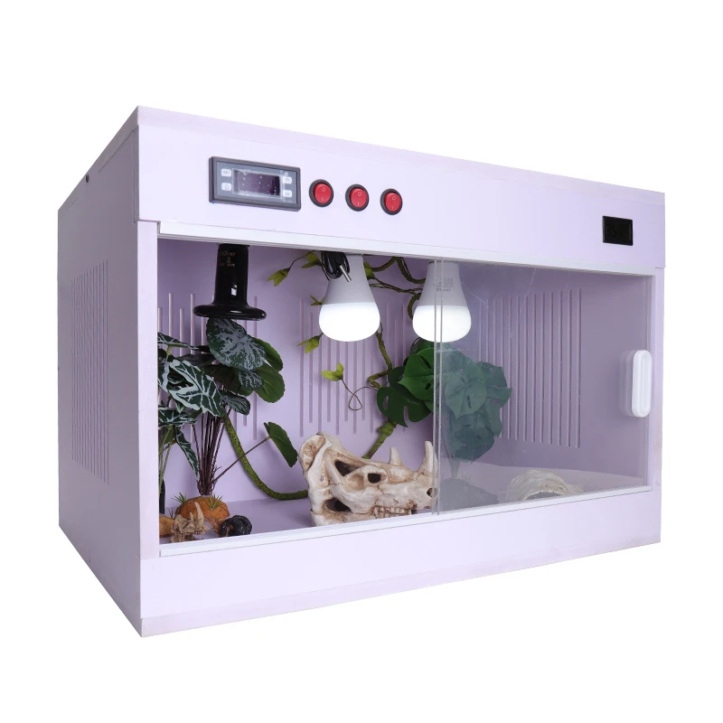 Pvc Terrarium stickhealthcare.co.uk