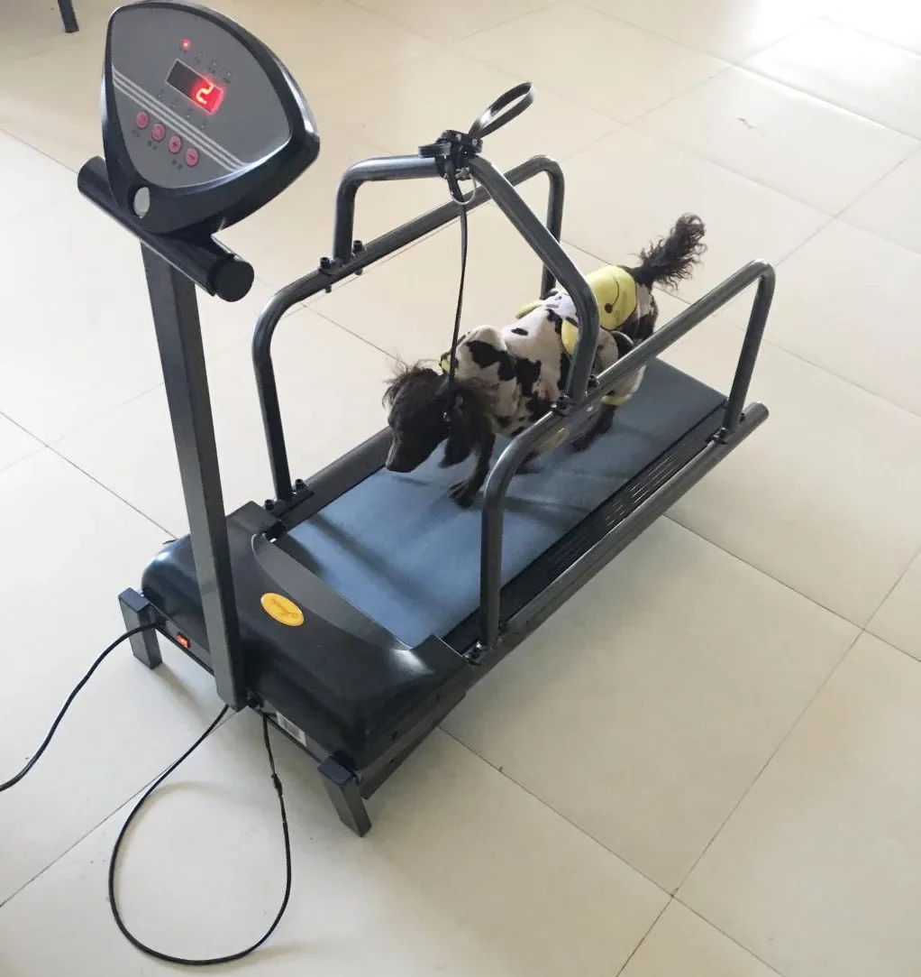 Cheap Dog Treadmill Walking Machine Running Equipment Dog Exercise Equipment for Dogs