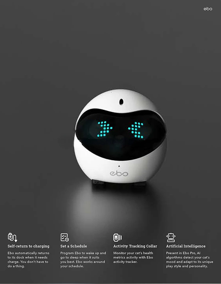 enabot Ebo Smart Robot Companion Camera livestream Take Photo Video Smart  Collar Robot for Cat - AliExpress