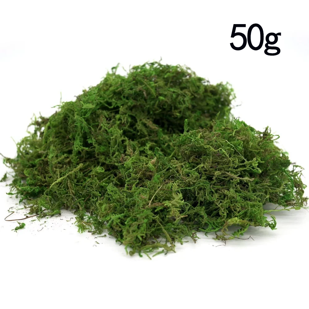 Mousse verte artificielle pour plantes en pot, fausse mousse, accessoires  de jardin nickel é, 50g, 100g - AliExpress