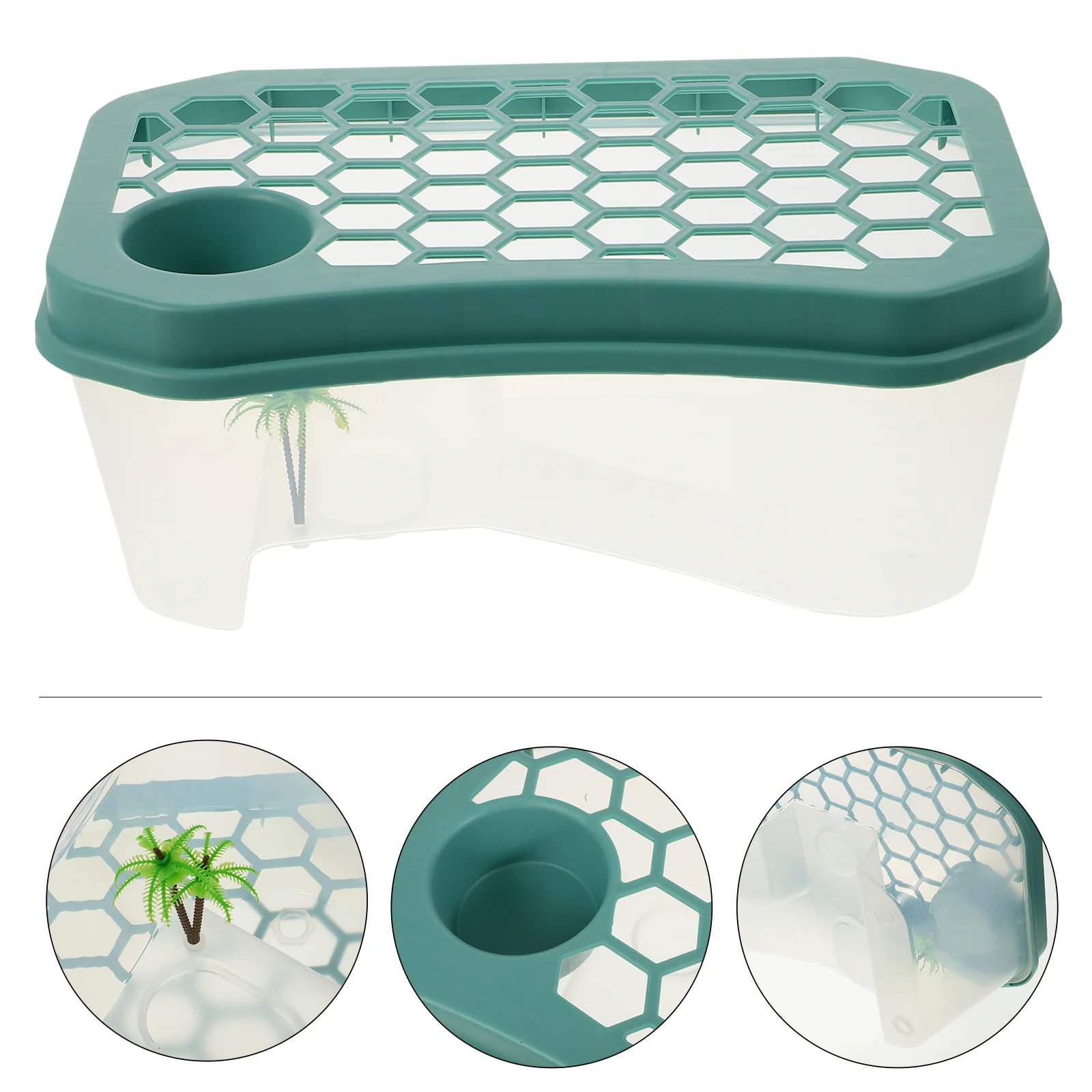 

Fish Aquarium Tank Turtle Plastic Home Habitat with Platform Sea ​​turtle Raising Feeding Practical Reusable Container Tortoise