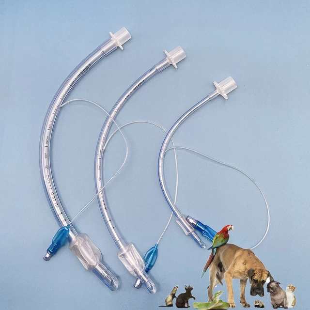 Endotracheal Tube Veterinary