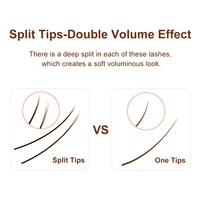 NATUHANA Brown Ellipse Flat Eyelashes Extensions Matte Faux Lashes Split Tips Soft Light Weight Ellipse Shaped Makeup Tools 2