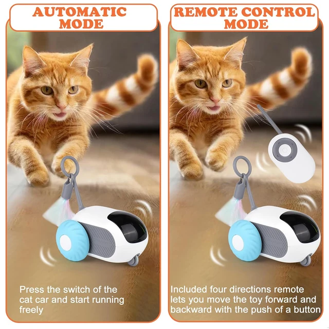Smart Remote-Controlled Cat Toy 5