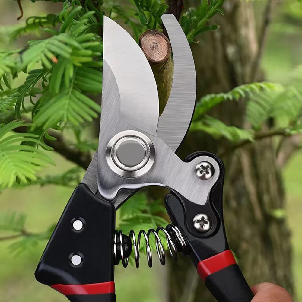 

SK5 Steel Pruning Shears Blade Fruit Tree Pruning Shears Garden Branch Trim Shears Bonsai Pruning Branch Scissors
