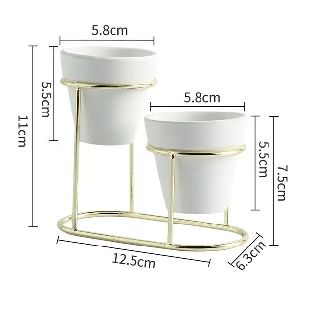 2 Golden White