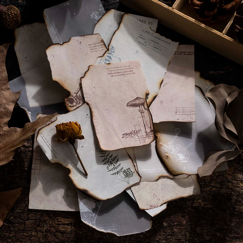 ���� �� ���� �Ĺ� �׸� ����, ������ ���� ��Ʈ ��ǰ, �޸� ���, 85*176mm, 30 �� ���