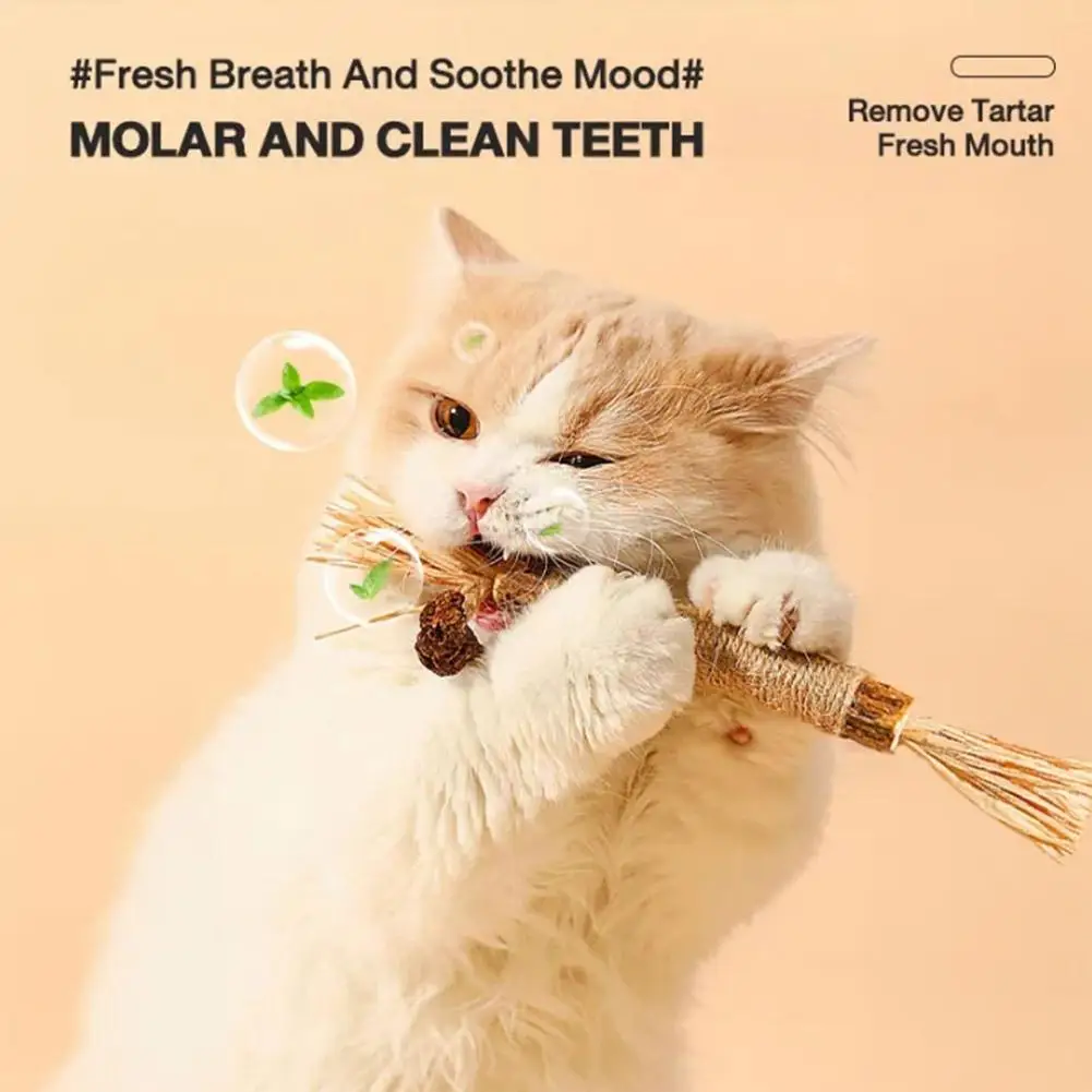Title 16, Cat Toys Cleaning Teeth Silvervine Chew Stick P...