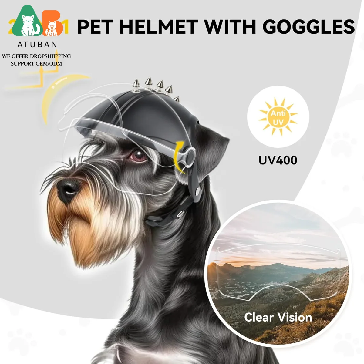 Small Dog Motorcycle Helmet 3