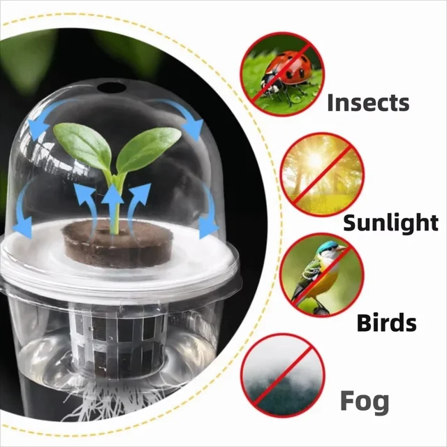 Plastic hydroponic seed planting pot - transparent and durable gardening seedling cup - reusable cup for observing plant roots 2