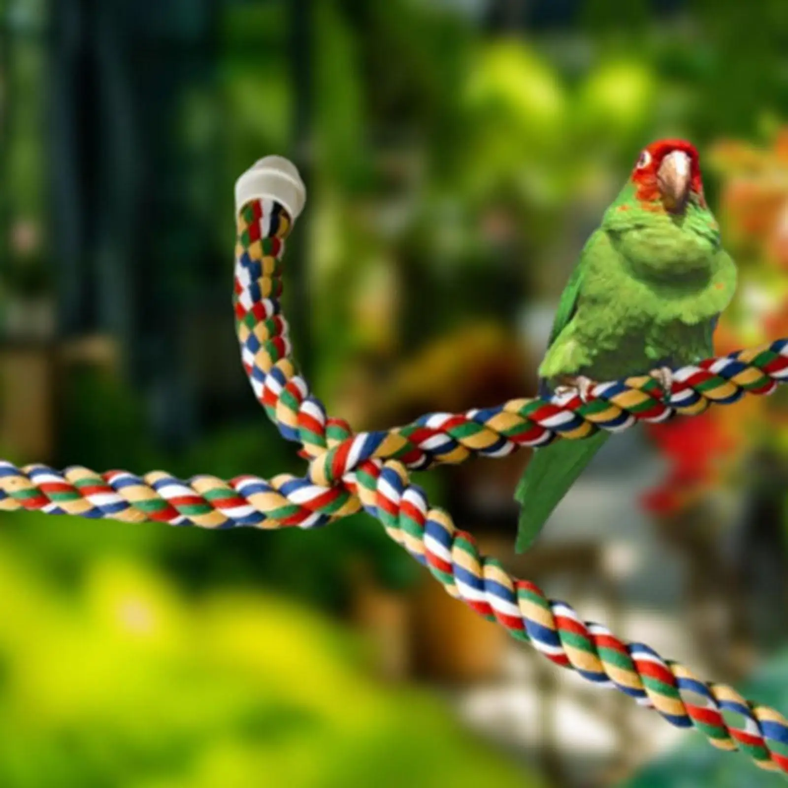 Bird Colorful Rope Perches Cage Accessories Flexible Spiral Rope Cotton Ropes Bungee for Canary Budgie Parakeet Cockatiel Macaws