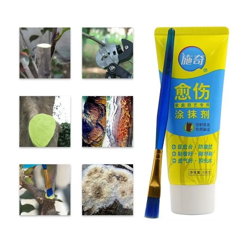 Tree Wound Bonsai Cut Paste 100g Plant Restoring Regrowth Sealant Smear Agent Pruning Compound Sealer With Brush Plant Wound Sealer