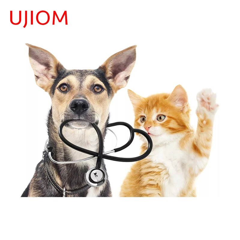 Why Do Dogs Scratch At Walls