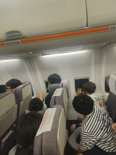 구매후기