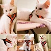 Breathable Mesh Pet Harness & Leash Set Adjustable Polyester Vest Harness with Collar Suitable for Cats Puppies Small Medium Dog 2
