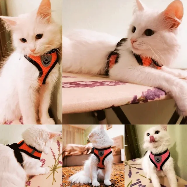 Breathable Mesh Pet Harness & Leash Set Adjustable Polyester Vest Harness with Collar Suitable for Cats Puppies Small Medium Dog 2