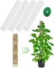 Garden Subject Plants Moss Pole Flower Plant Climbers Bonsai Accessories Pots Tutors ,for Planters Plants Growth Holder Support 5