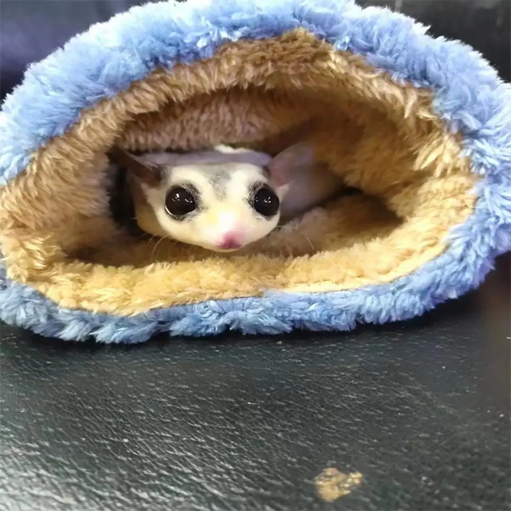 Mini Sugar Gliders Sleeping Pouch 5