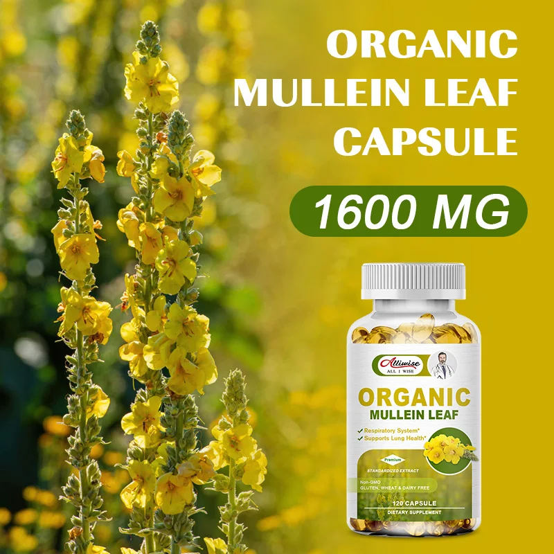 Herbal Plant Mullein Capsules Clean Lungs Protect Respiratory System Clear Heat Mucous Membranes Lung Cleanse mullein leaf extract lung detox capsules