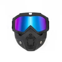 Motorcycle Sunglasses with Mask