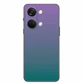R20.CH.687
