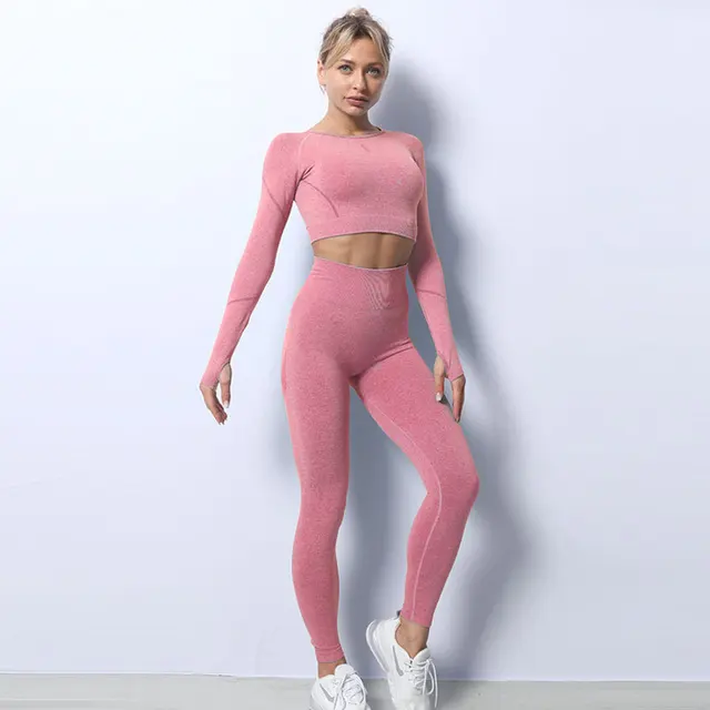 2pcs Seamless Yoga Set Gym Fitness Clothing Women Suit Sportswear