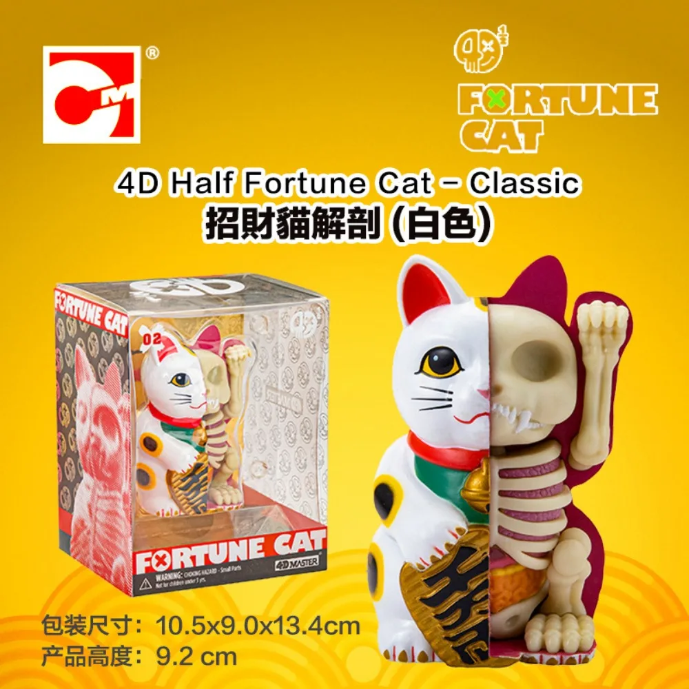 4D Master Fortune Cat Half Anatomy Three Colors Trendy Art Model