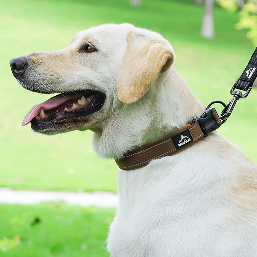 Heavy Duty Dog Collar For Large And Medium Breeds Durable Nylon_voghion.com