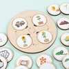 Life Cycle Board Children Toy Montessori Teaching Aids Plant Animal Growth Cycle Model Set preschool cognitive Toys 2