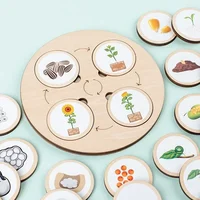 Life Cycle Board Children Toy Montessori Teaching Aids Plant Animal Growth Cycle Model Set preschool cognitive Toys 2