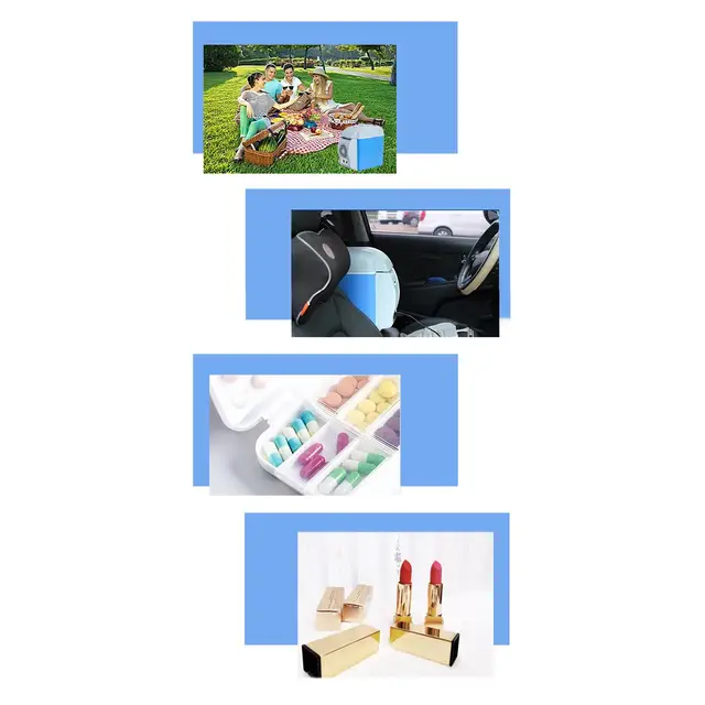 Portable Insulation Box For Car Small Container Insulated Case