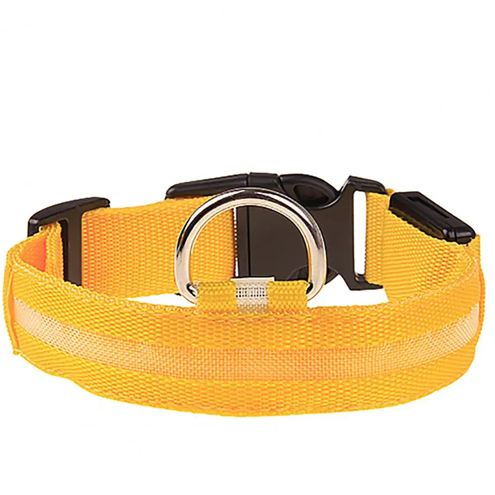 Dog Collar and Pet Collar LED USB Glowing Dog Collar Adjustable Flashing Neck Strap Rain Resistant Nylon