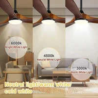 High Power DC Motor, Remote Control with Light, Living Room, Dining Room, 3 Blades, Solid Wood Propeller, 52 Inch Ceiling Fan 2