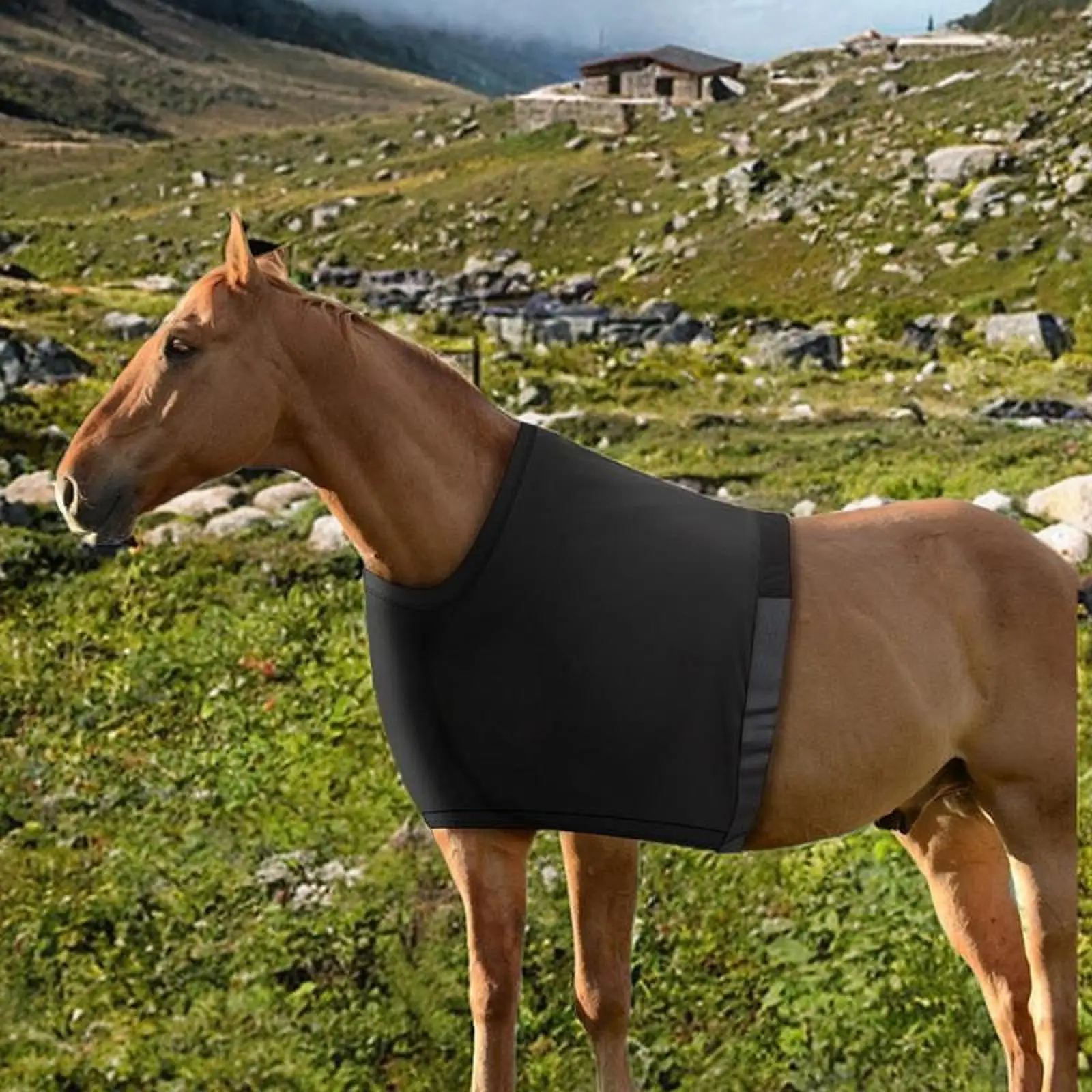 Horse Shoulder Guard Chest Guard Chest Saver Prevent Rug Rubs High Elastic