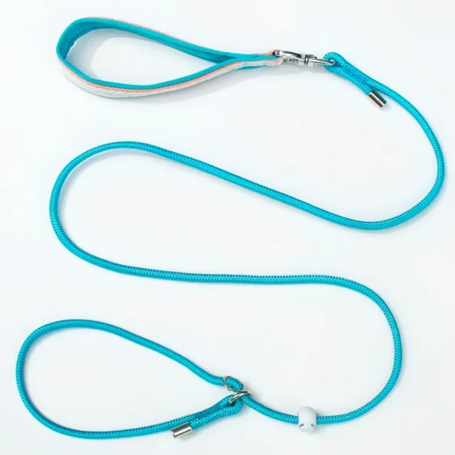 Dog Leash P Chain Leashes for Dog Walking Adjustable Dogs Leash Nylon P Chain Dogs Leashes Puppy Training 150cm Rope Pet Puppies 3