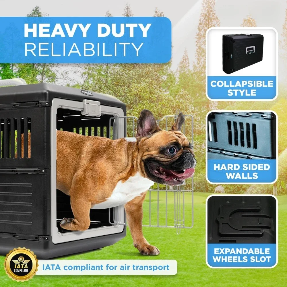 Collapsible Pet Crate 4