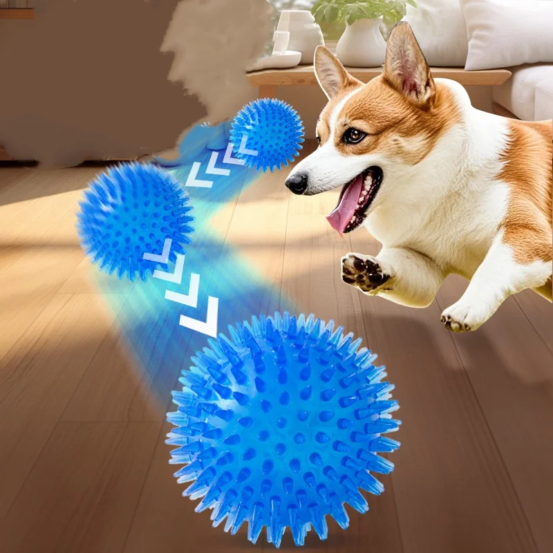 Sounding Chew Ball For Dogs And Cats Tooth Cleaning Training Toy_voghion.com