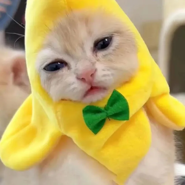Fashion Pet Headwear Cute Banana Shape Hat With Bow Soft Comfortable Pet Headpiece Pet Cat Clothing Accessories Pet Supplies 5