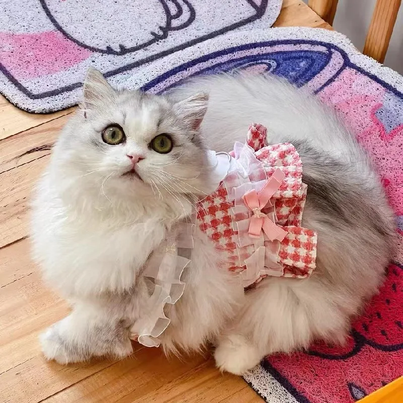 

Шлейка-поводок для домашних питомцев, комплект одежды, кружевной жилет, сетчатые аксессуары, уличные принадлежности для кошек, Котят, щенков