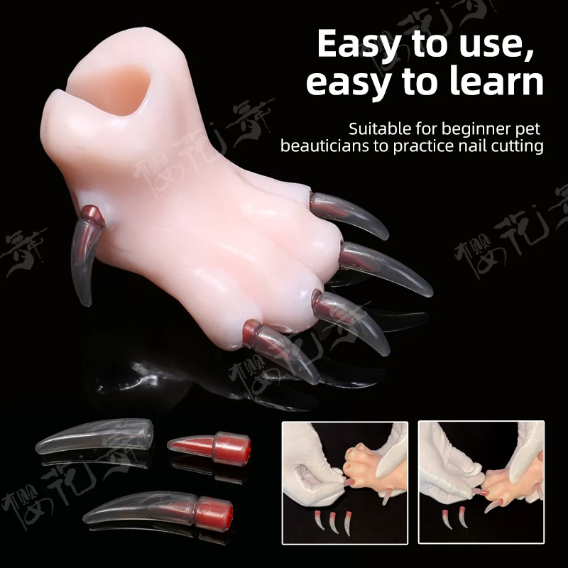 Silicone Simulation Dog Paw Teaching Model Pet Beauty School Practice Cutting Dog Nails