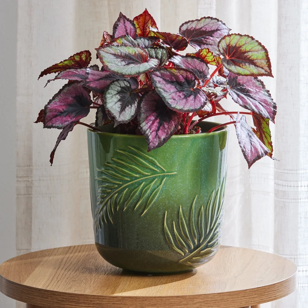 8" Embossed Ceramic Planter 2