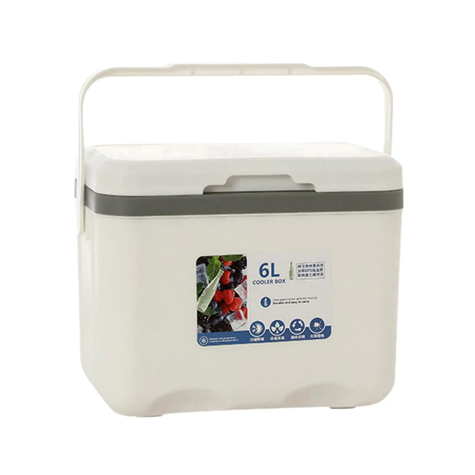 Cooler Box 6L Cold Storage Personal Portable with Handle Insulated Box Ice Chest Small for Stall Beach Camping Commercial Food