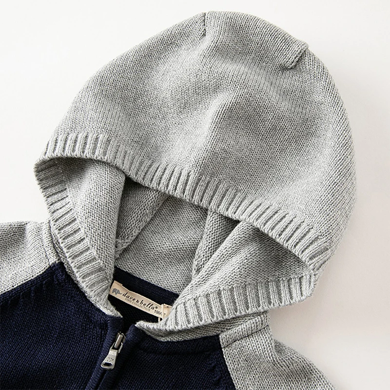 Dave Bella Children's Boy's Autumn Fashion Casual Hooded Sweater Cardigan Overcoat Tops Cotton Outdoor Sport DB3236761
